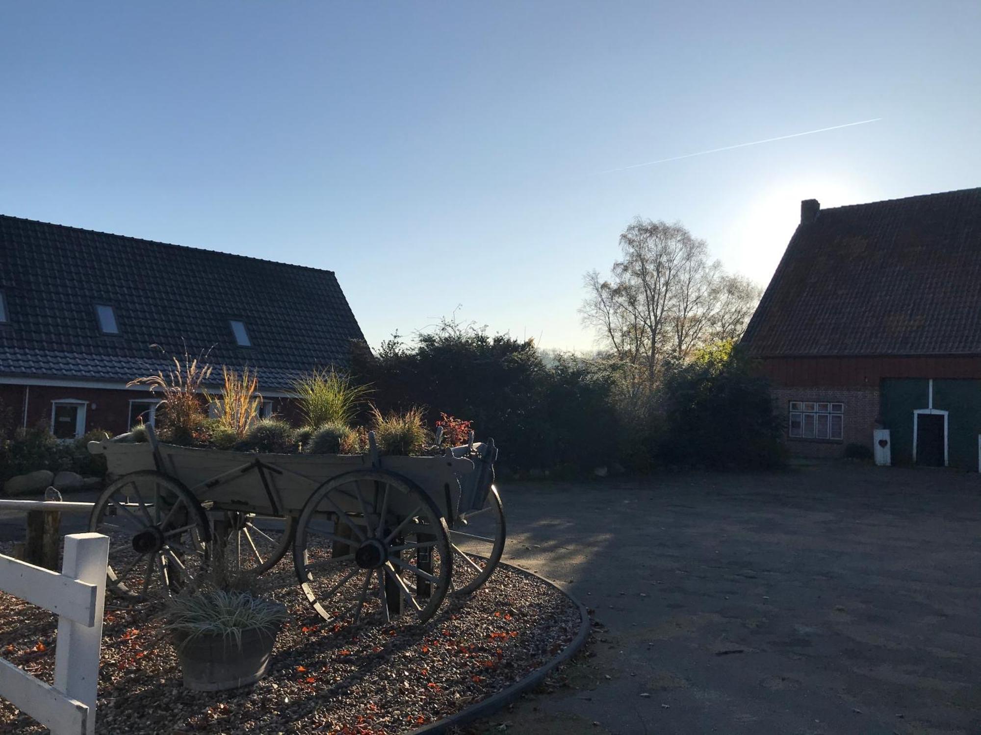 Moderne Ferienwohnung Auf Gut Bennewohld Wl Heide  Eksteriør bilde