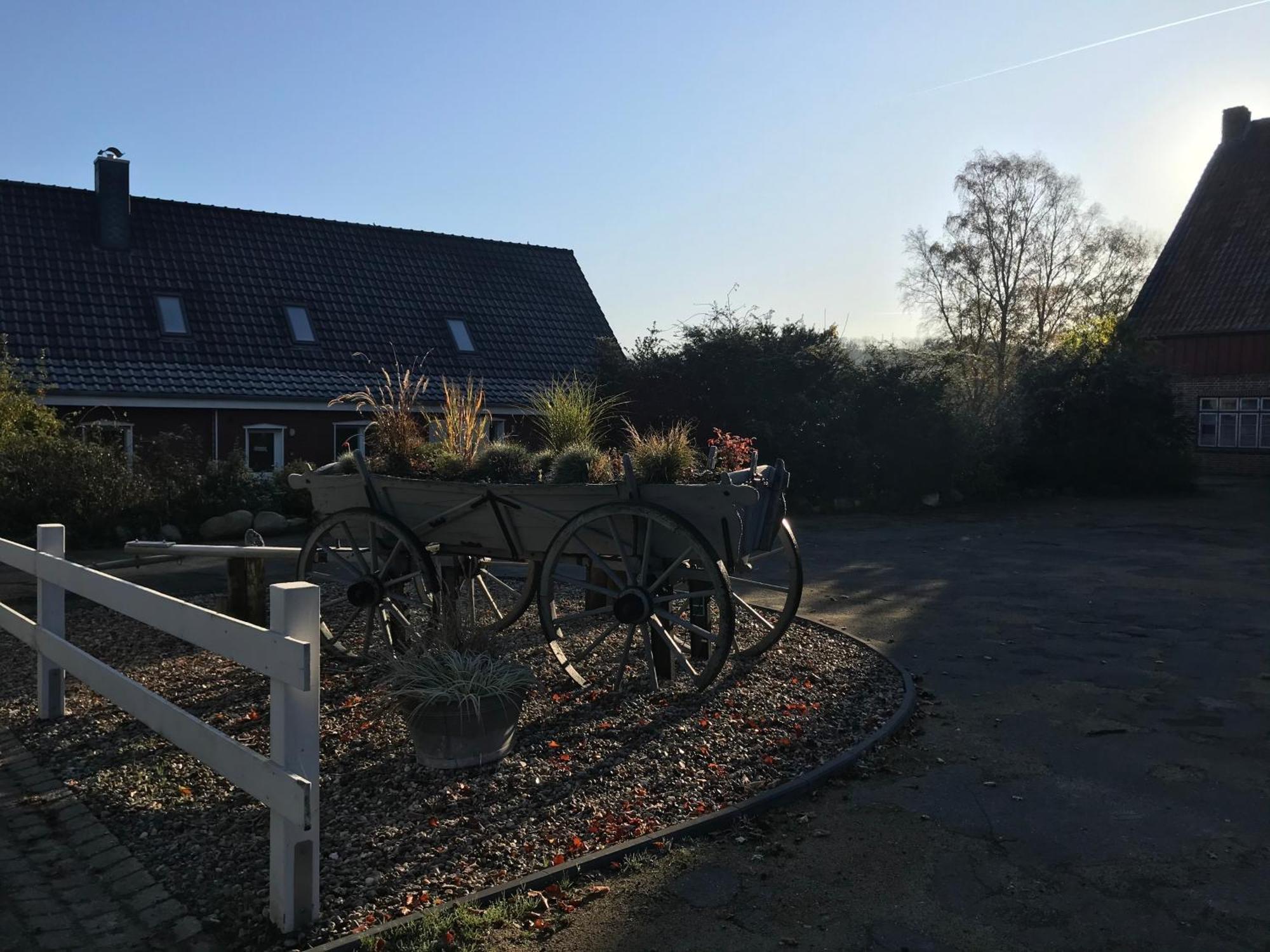 Moderne Ferienwohnung Auf Gut Bennewohld Wl Heide  Eksteriør bilde